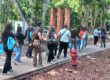 ESTUDIANTES UPRB